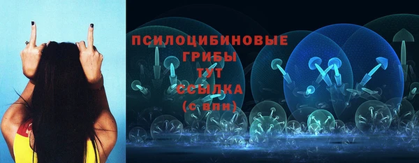 ПСИЛОЦИБИНОВЫЕ ГРИБЫ Корсаков