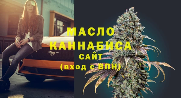 гидра Коряжма