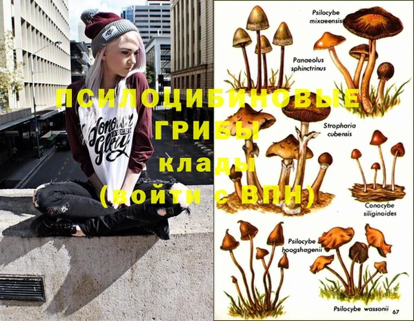 apvp Костерёво