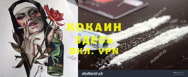 ПСИЛОЦИБИНОВЫЕ ГРИБЫ Корсаков