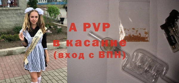 ПСИЛОЦИБИНОВЫЕ ГРИБЫ Корсаков