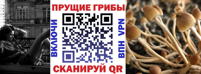 даркнет сайт  Николаевск-на-Амуре  blacksprut ссылка  Галлюциногенные грибы Psilocybine cubensis 